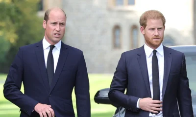 JUST IN:PRINCE WILLIAM AND BROTHER HARRY FURIOUS AS KING CHARLES ANNOUNCED PRINCE GEORGE AS….. READ MORE