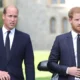 JUST IN:PRINCE WILLIAM AND BROTHER HARRY FURIOUS AS KING CHARLES ANNOUNCED PRINCE GEORGE AS….. READ MORE